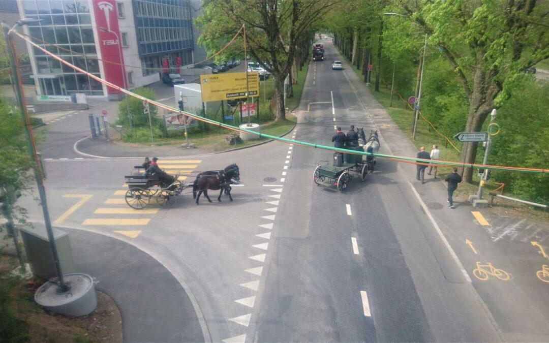 Kako je bosanski brdski konj kulturan u Švicarskoj