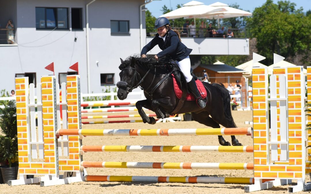Miško 25 i KK Vilenjak