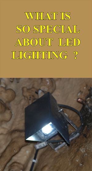 LED lampa-web