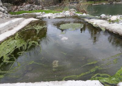 Banje Solun - filamentozne alge